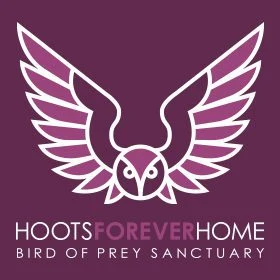 Hoots Forever Home logo