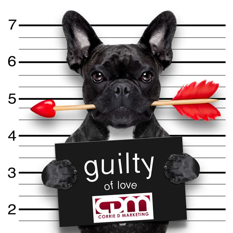 French bulldog mugshot holding a 'guilty of love' sign branded with the Corrie D Marketing logo, with a cupid arrow in its mouth